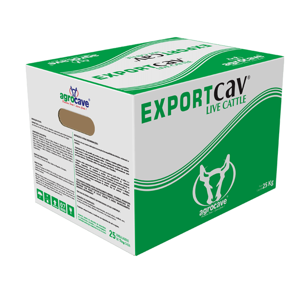 Export-Cav